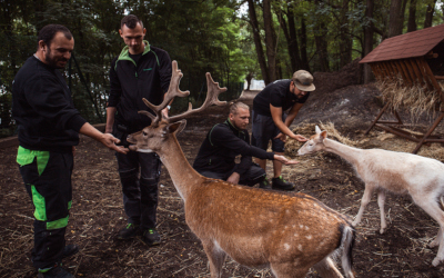 Teambuilding ve Farmaparku u Toma